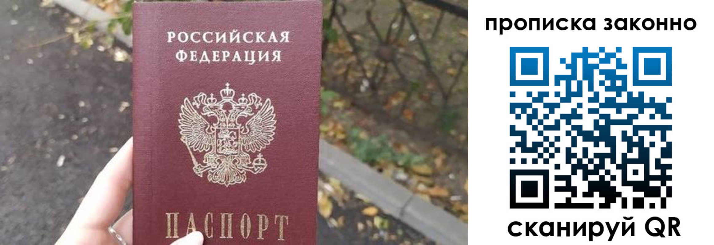 прописка для школы в Кинеле